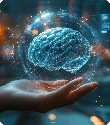 brain