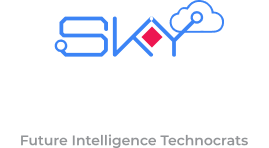 Skyinfitech Solution logo